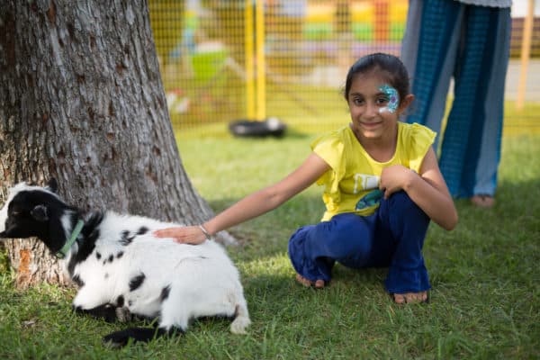 Child petting a goat